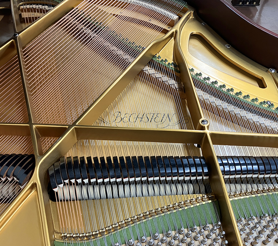 ベヒシュタイン S-145（Bechstein S-145）