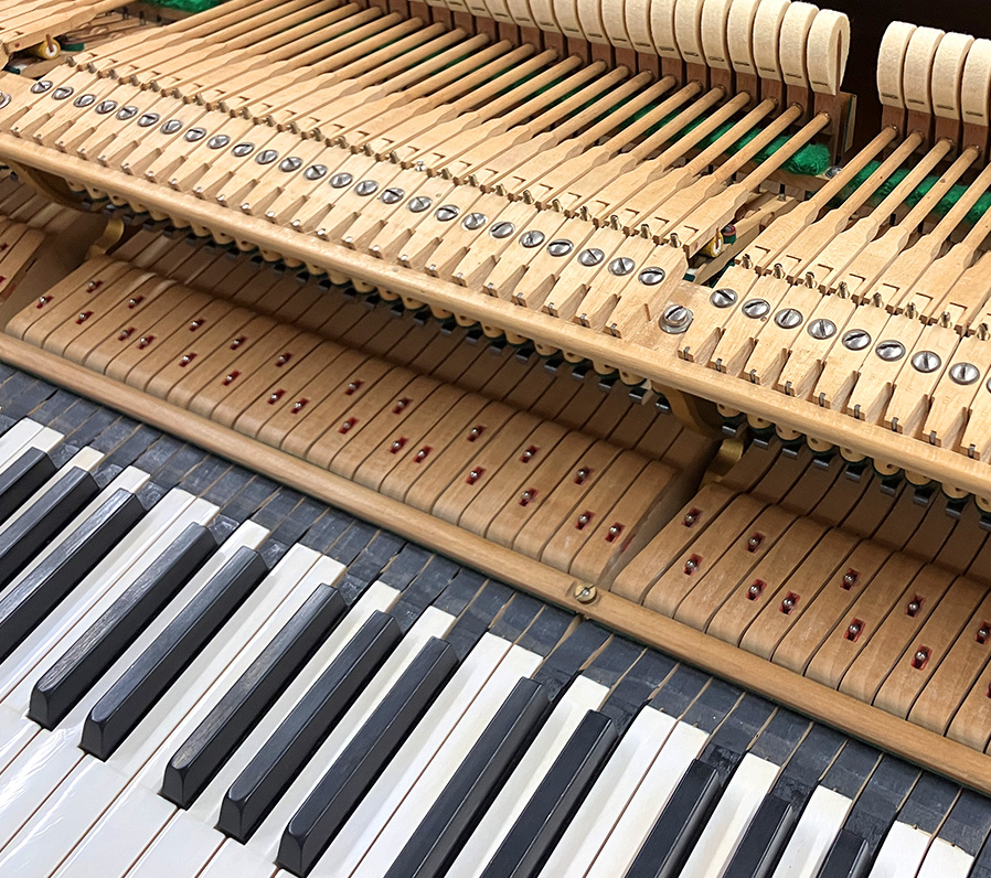 ベヒシュタイン S-145（Bechstein S-145）