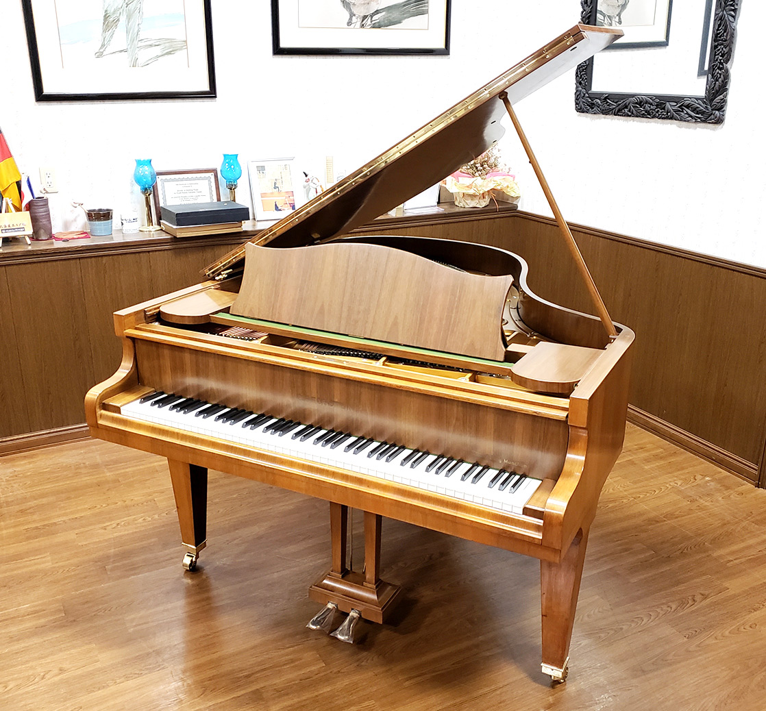 ベヒシュタイン L-165（Bechstein L-165）