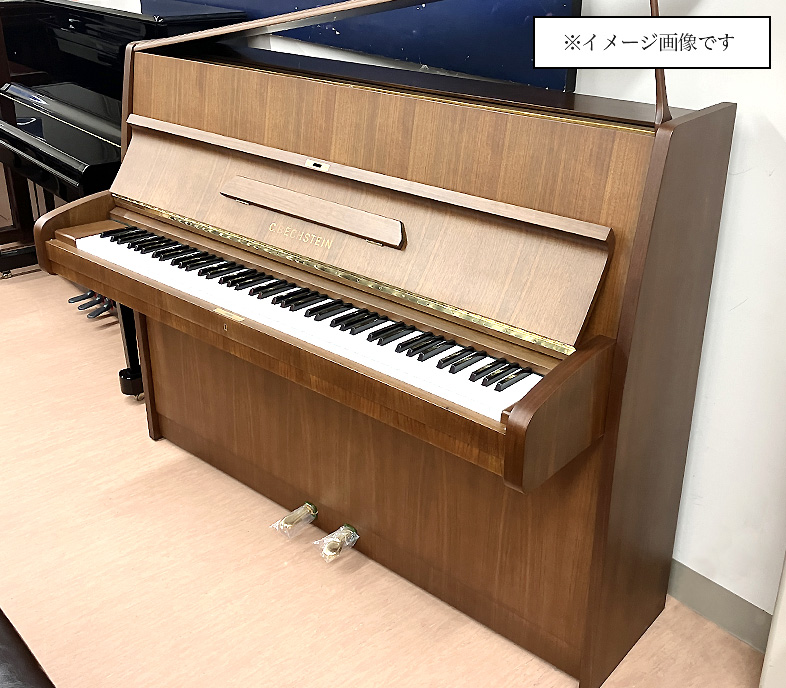 ベヒシュタイン 12n
