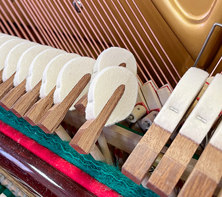 ベヒシュタイン 8a（Bechstein 8a）