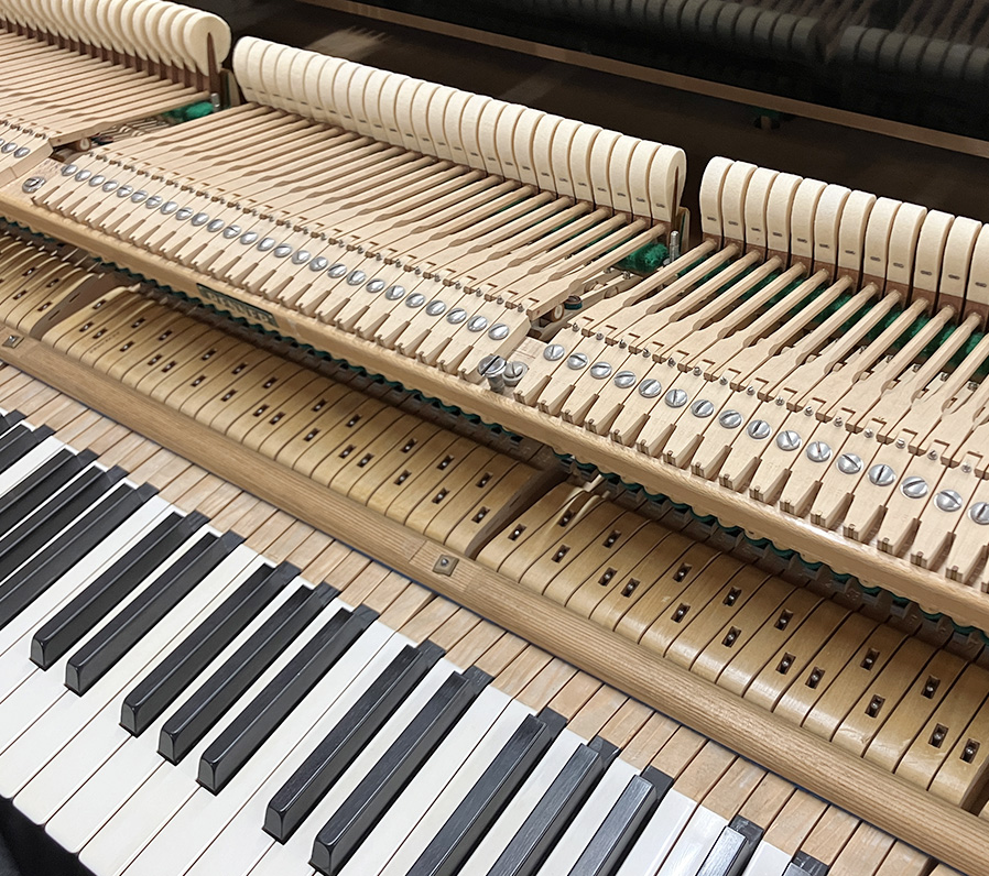 ベヒシュタイン S-145（Bechstein S-145）