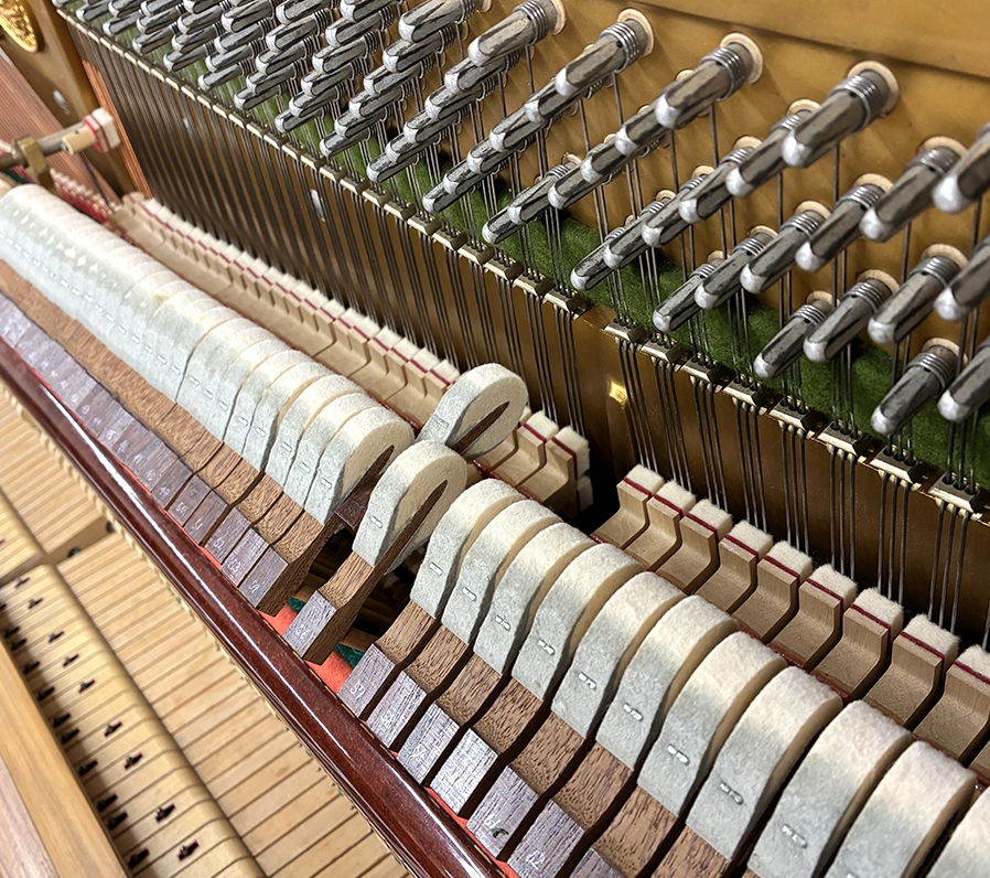 ベヒシュタイン 12n(Bechstein 12n)
