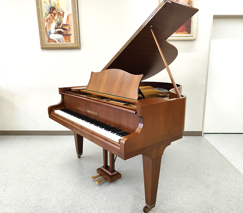 ベヒシュタイン L-165