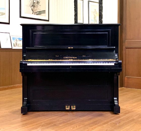 ベヒシュタイン 10（Bechstein 10）