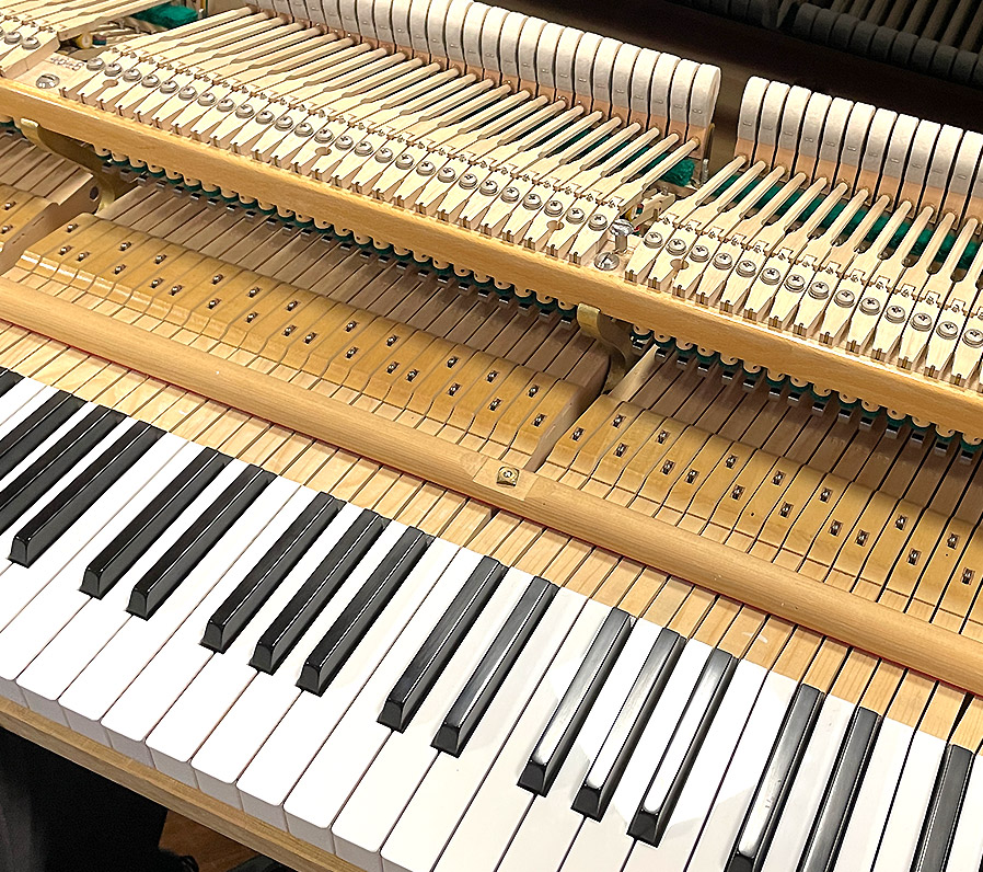 ベヒシュタイン L-165（Bechstein L-165）