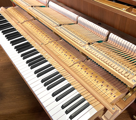 ベヒシュタイン M-180（Bechstein M-180）