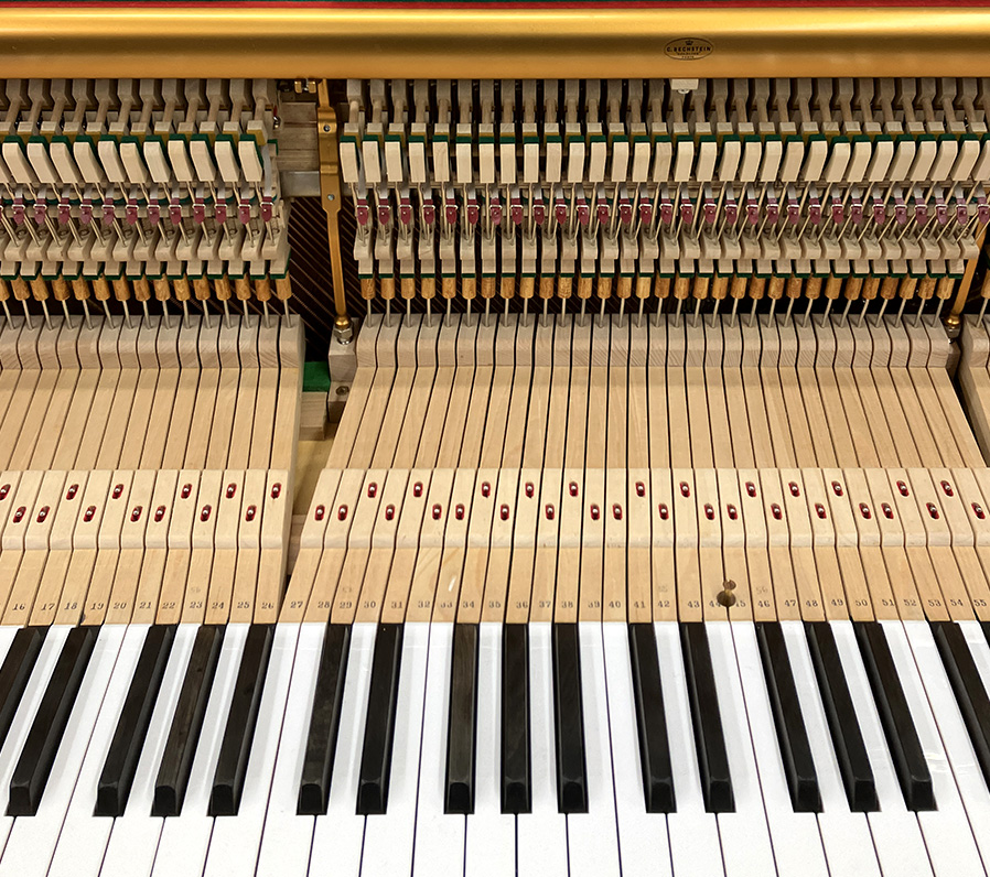 ベヒシュタイン Concert 8（Bechstein Concert 8）