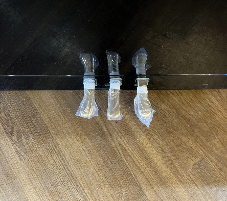 ベヒシュタイン Millenium116(Bechstein Millenium116)