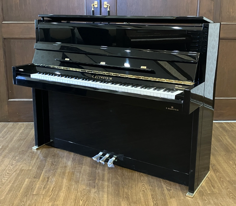 ベヒシュタイン Millenium116