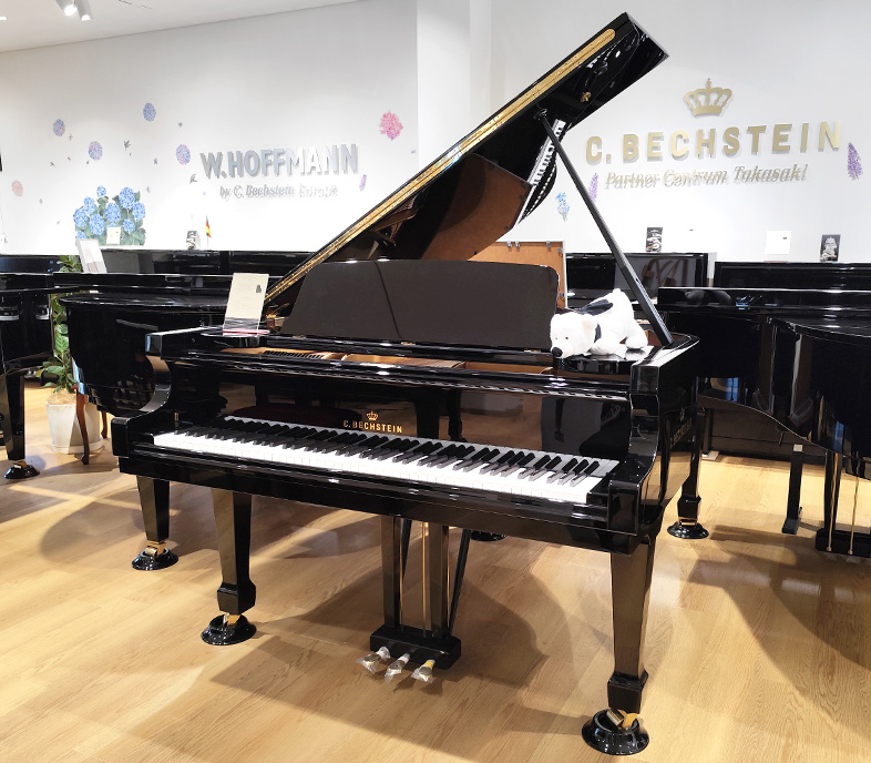 ベヒシュタイン A.175