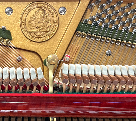 ベヒシュタイン 12n（Bechstein 12n）