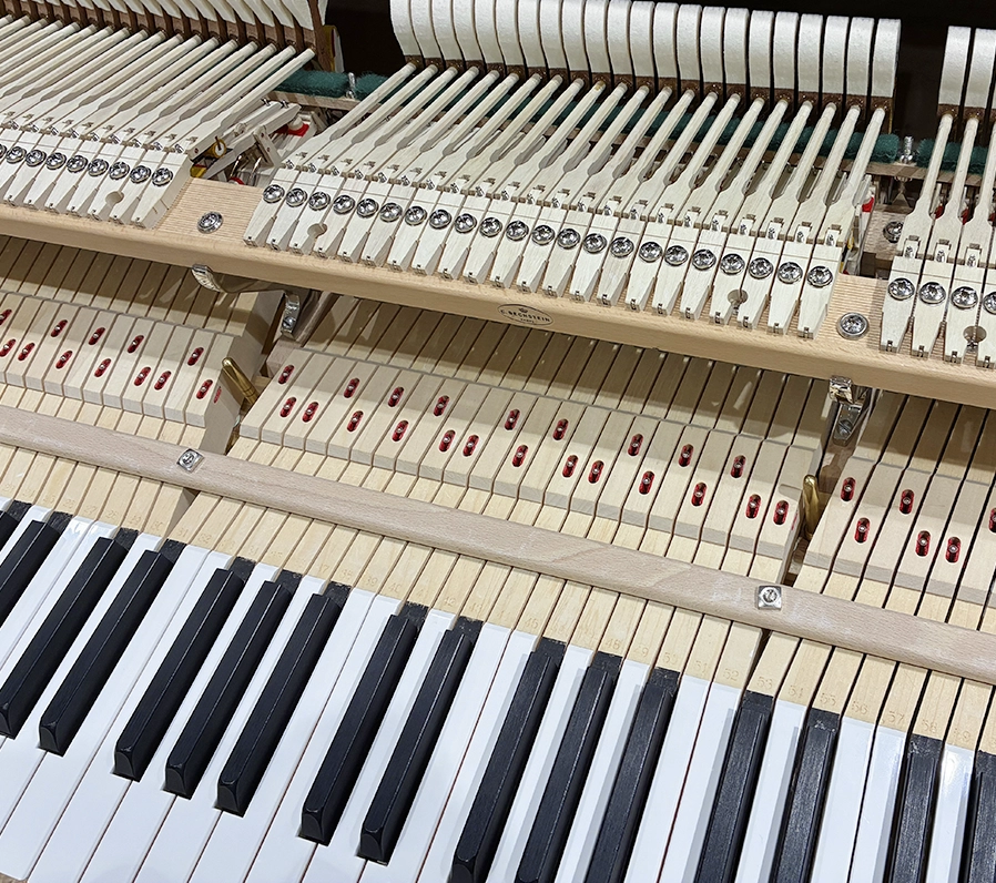 ベヒシュタイン A.160(Bechstein A.160)