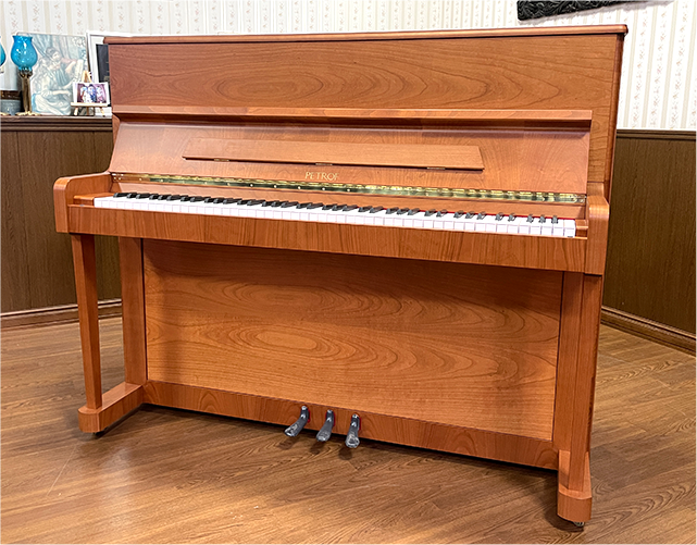 ペトロフP118-C1 新品