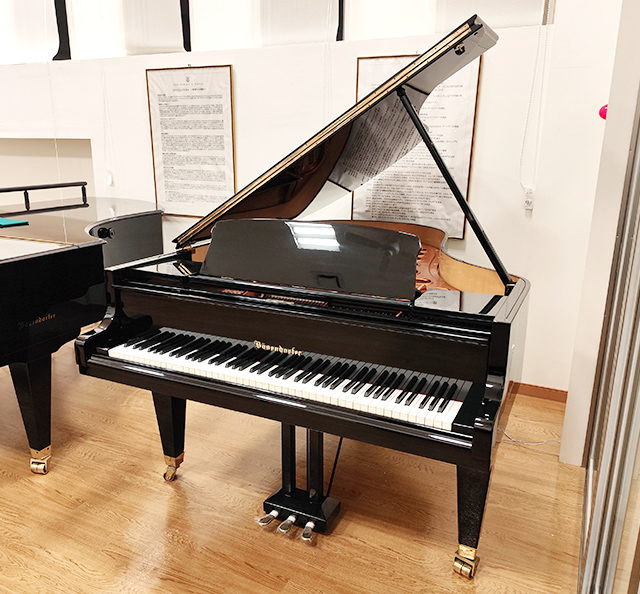 ベーゼンドルファー 200