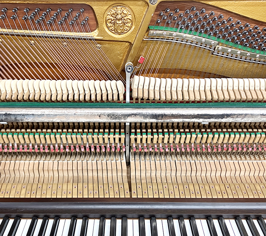 グロトリアン 120（Grotrian 120）