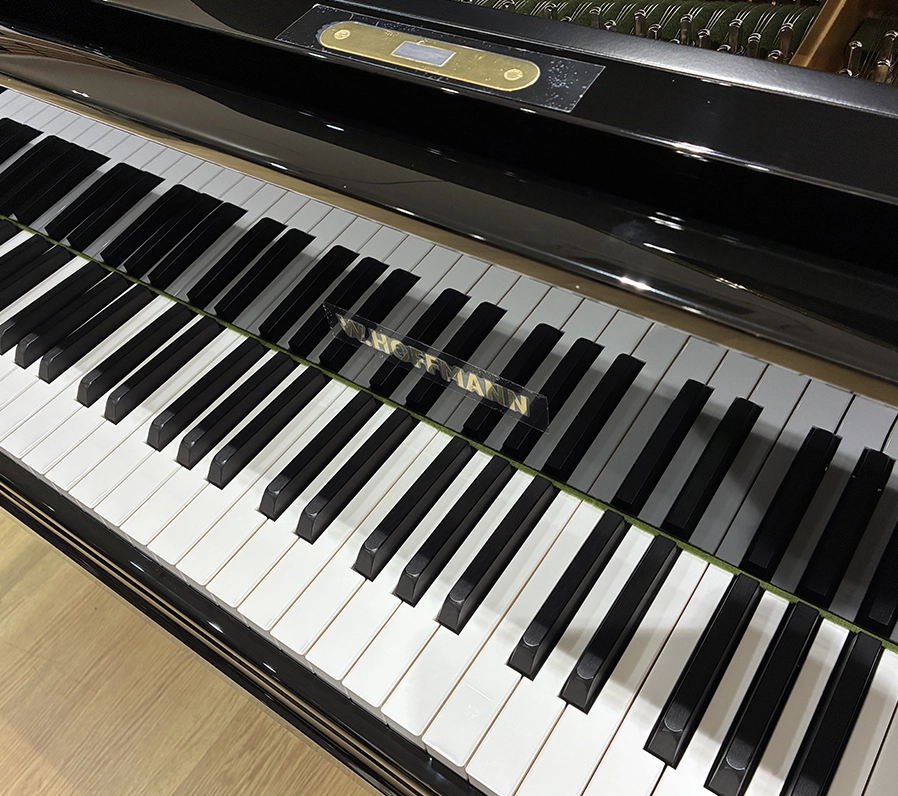 ホフマン T-161 Tradition(Hoffmann T-161 Tradition)