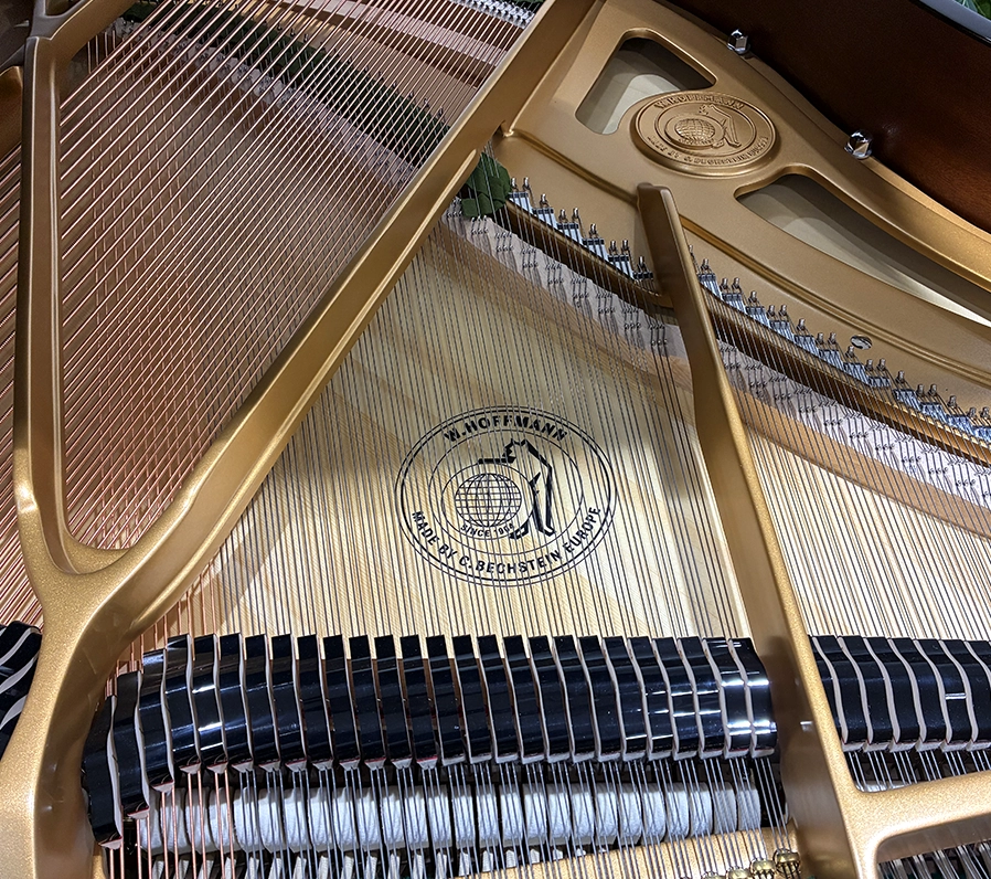 ホフマン T-161 Tradition(Hoffmann T-161 Tradition)