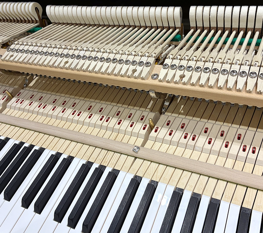 ホフマン T-161 Tradition(Hoffmann T-161 Tradition)