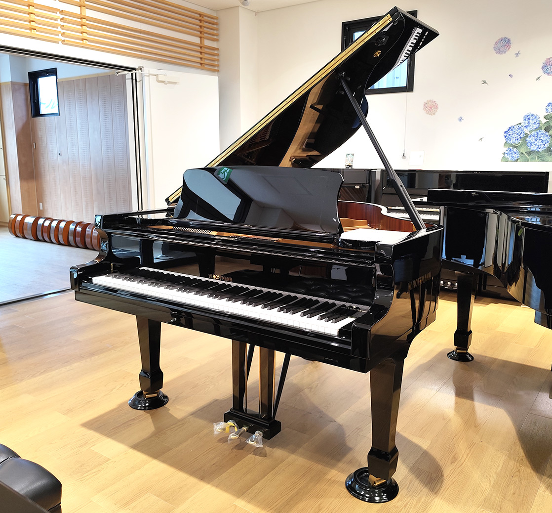 ホフマン T-161（Hoffmann T-161）