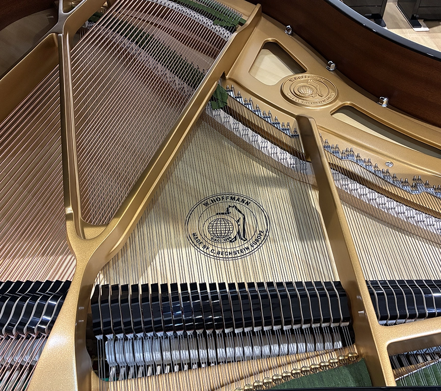 ホフマン T-177 Tradition(Hoffmann T-177 Tradition)