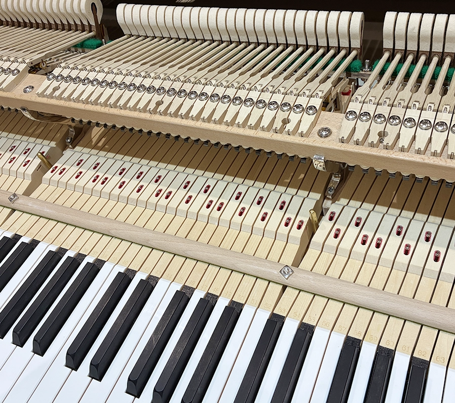 ホフマン T-177 Tradition(Hoffmann T-177 Tradition)