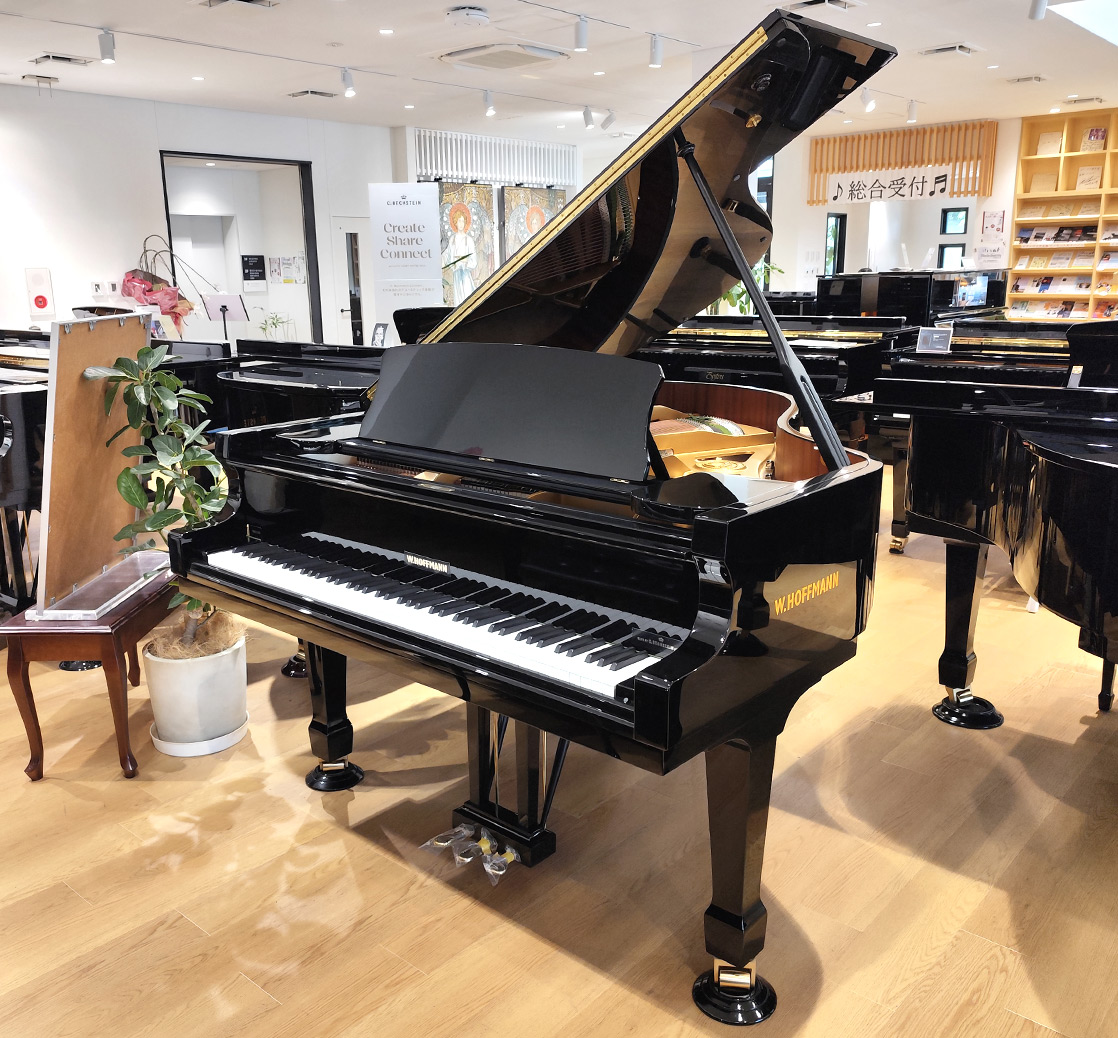 ホフマン T177（Hoffmann T177）