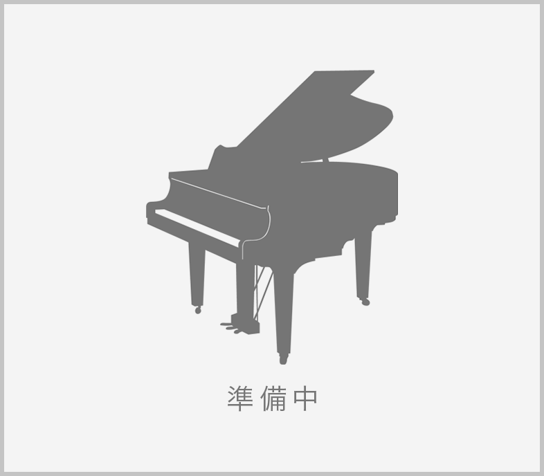 ベーゼンドルファー 170（準備中）