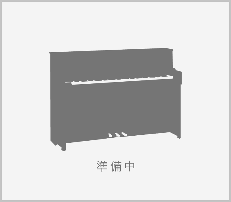 ペトロフ P118-P1（準備中）