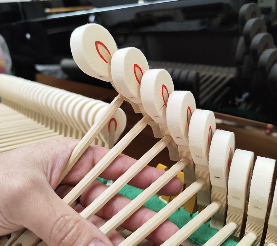 ペトロフ P-V（Petrof P-V）