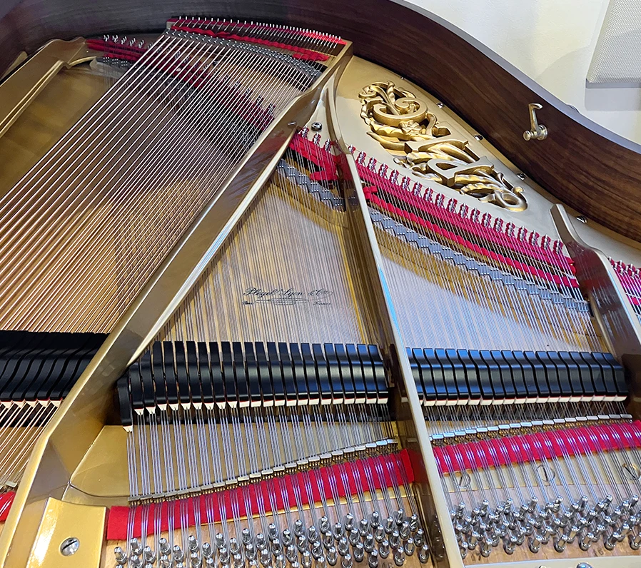 プレイエル No.3bis(Pleyel No.3bis)