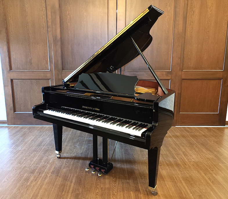 シュタイングレーバー162